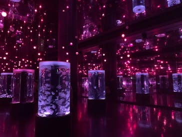 マクセル アクアパーク品川に投稿された画像（2021/3/26）