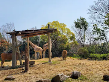 天王寺動物園に投稿された画像（2021/3/26）