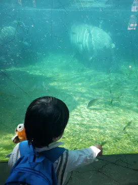 天王寺動物園に投稿された画像（2021/3/26）