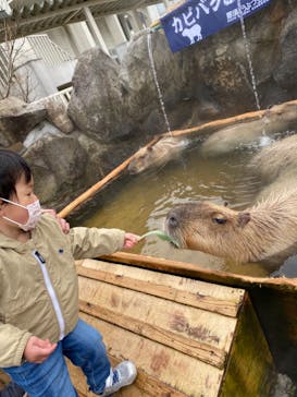 那須どうぶつ王国に投稿された画像（2021/3/26）