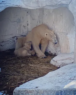 天王寺動物園に投稿された画像（2021/3/27）