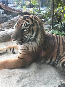 神戸どうぶつ王国に投稿された画像（2021/3/27）