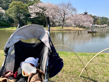 三溪園に投稿された画像（2021/3/27）