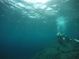 武藤潜水に投稿された画像（2021/3/27）