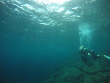武藤潜水に投稿された画像（2021/3/27）