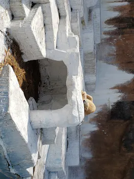 天王寺動物園に投稿された画像（2021/3/27）