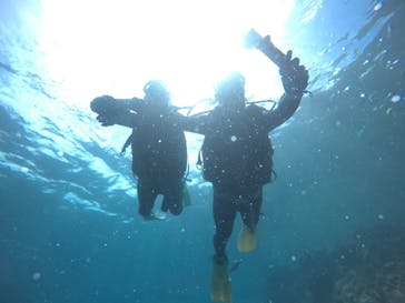 武藤潜水に投稿された画像（2021/3/27）