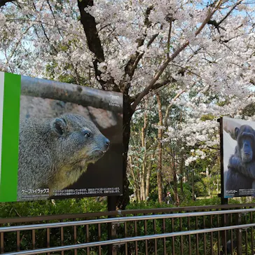 天王寺動物園に投稿された画像（2021/3/27）
