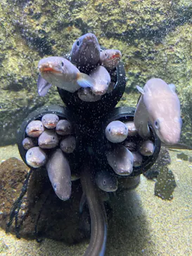 仙台うみの杜水族館に投稿された画像（2021/3/27）