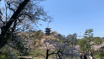 三溪園に投稿された画像（2021/3/27）