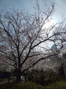 天王寺動物園に投稿された画像（2021/3/27）