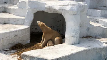 天王寺動物園に投稿された画像（2021/3/27）