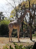 天王寺動物園に投稿された画像（2021/3/27）