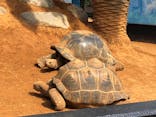 体感型動物園iZooに投稿された画像（2021/3/27）