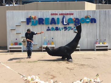 横浜・八景島シーパラダイスに投稿された画像（2021/3/27）