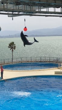 マリンワールド海の中道に投稿された画像（2021/3/27）