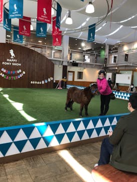 ノーザンホースパークに投稿された画像（2021/3/27）