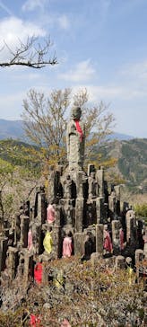 伊豆パノラマパークに投稿された画像（2021/3/27）