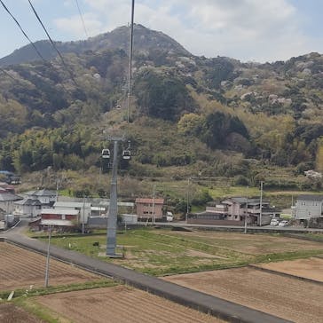 伊豆パノラマパークに投稿された画像（2021/3/27）