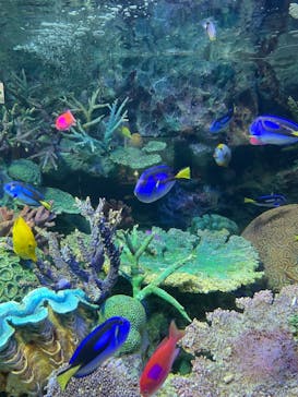 サンシャイン水族館に投稿された画像（2021/3/27）