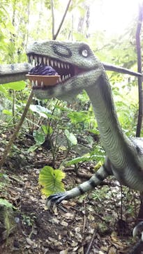 御菓子御殿　名護店　やんばる亜熱帯の森DINO恐竜PARKに投稿された画像（2021/3/27）