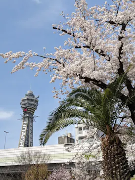天王寺動物園に投稿された画像（2021/3/27）