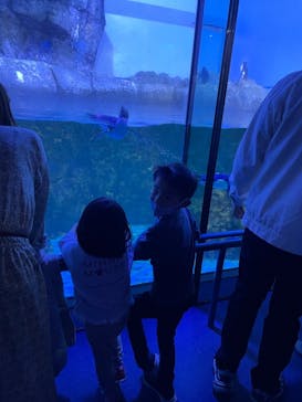 横浜・八景島シーパラダイスに投稿された画像（2021/3/27）