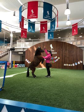 ノーザンホースパークに投稿された画像（2021/3/27）