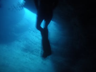 武藤潜水に投稿された画像（2021/3/27）