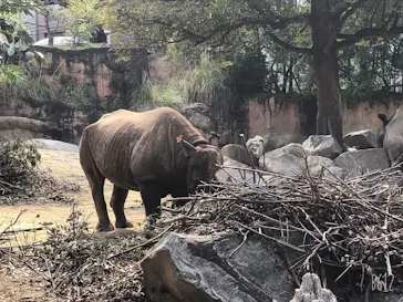 天王寺動物園に投稿された画像（2021/3/27）