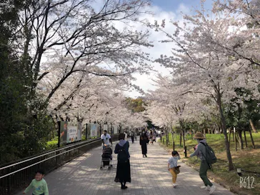 天王寺動物園に投稿された画像（2021/3/27）