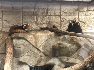 天王寺動物園に投稿された画像（2021/3/27）