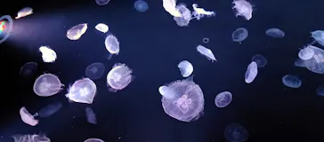 すみだ水族館に投稿された画像（2021/3/27）