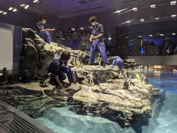 すみだ水族館に投稿された画像（2021/3/27）