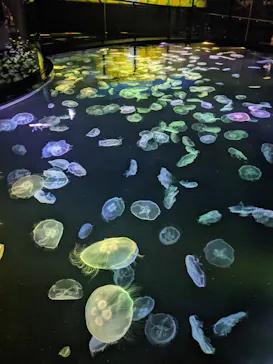 すみだ水族館に投稿された画像（2021/3/27）