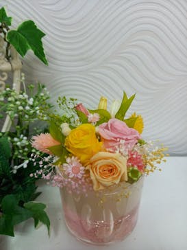 ずこうしつ〜sugamo〜に投稿された画像（2021/3/27）