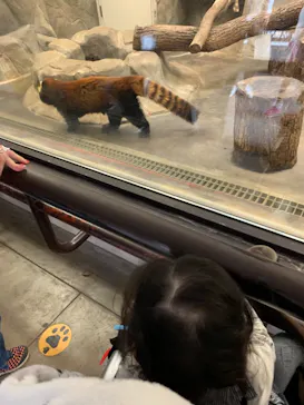 天王寺動物園に投稿された画像（2021/3/27）