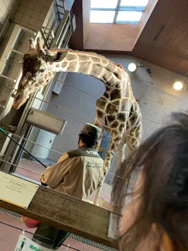 天王寺動物園に投稿された画像（2021/3/27）