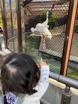 天王寺動物園に投稿された画像（2021/3/27）