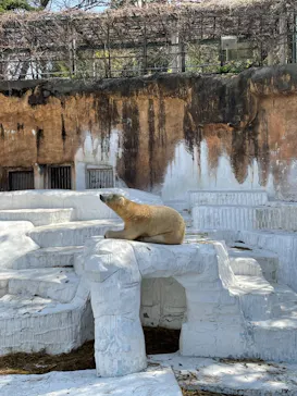 天王寺動物園に投稿された画像（2021/3/27）
