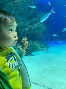 サンシャイン水族館に投稿された画像（2021/3/27）