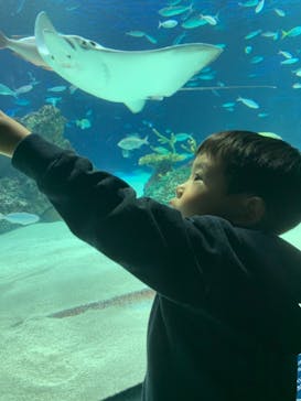 サンシャイン水族館に投稿された画像（2021/3/27）