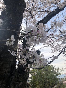 ひらかたパークに投稿された画像（2021/3/27）