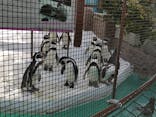 天王寺動物園に投稿された画像（2021/3/27）