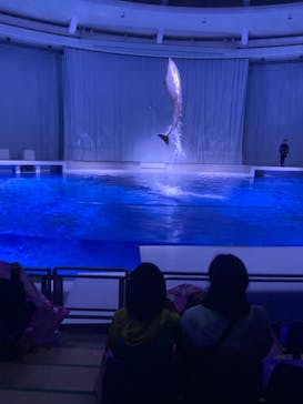アクアワールド茨城県大洗水族館に投稿された画像（2021/3/27）