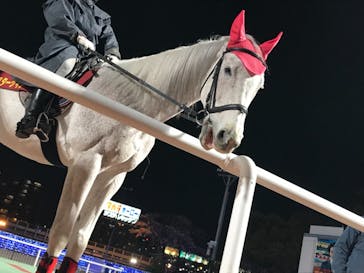 東京メガイルミに投稿された画像（2021/3/27）