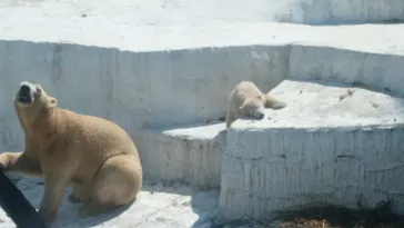 天王寺動物園に投稿された画像（2021/3/27）