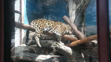 天王寺動物園に投稿された画像（2021/3/27）