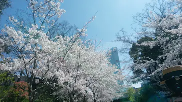天王寺動物園に投稿された画像（2021/3/27）