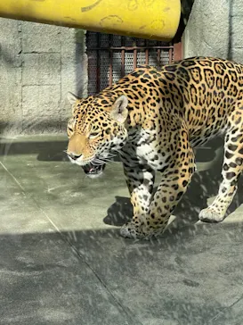 天王寺動物園に投稿された画像（2021/3/27）
